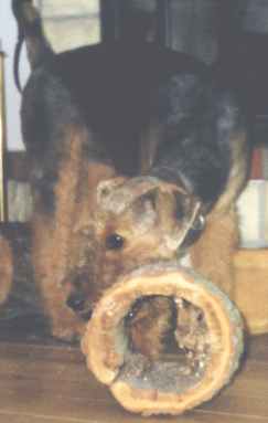Jaga with fire wood