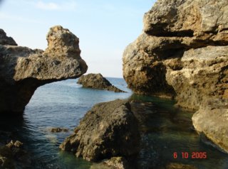 southerncoast9.jpg