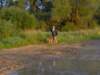 kozienice2005_small.jpg