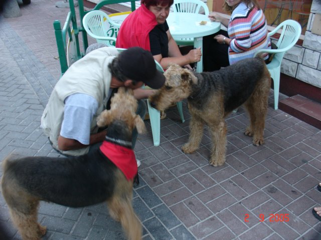 rowy2005kuzynrumun4.jpg